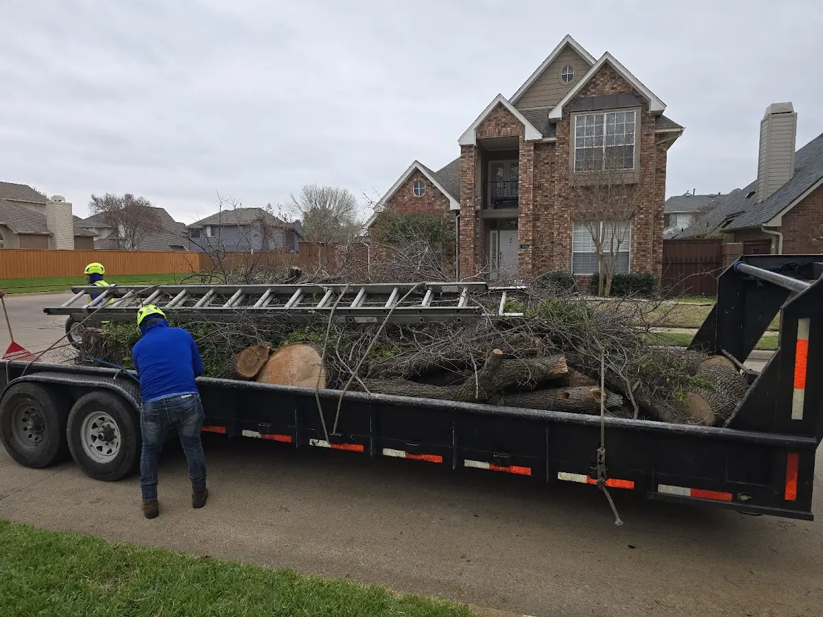 Expert Tree Removal with proper safety equipment in China Grove